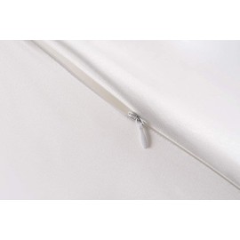 Oeko-Tex® Certified Silk Pillowcase for 100% Silk, 22 Momme Pillowcase for Hair and Skin, Anti-Aging, Anti-Dust Mite (40 x 40 cm, Blue)