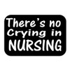 ThatLilCabin - There is NO Crying in Nursing AS797 6"