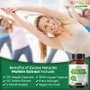 Zazzee Extra Strength Mullein 10:1 Extract, 3000 mg Strength, 120