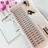 Yaweiya Individual Cluster Eyelashes, Flower-Shaped Natural Silk, Dn06 - 10 Packs, 60 Clusters Free Size/C Curl Thickness 0.07-12mm 10ea