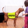 CENWA Emotional Support Dog Jacket Vest ESA Service Dogs Walking