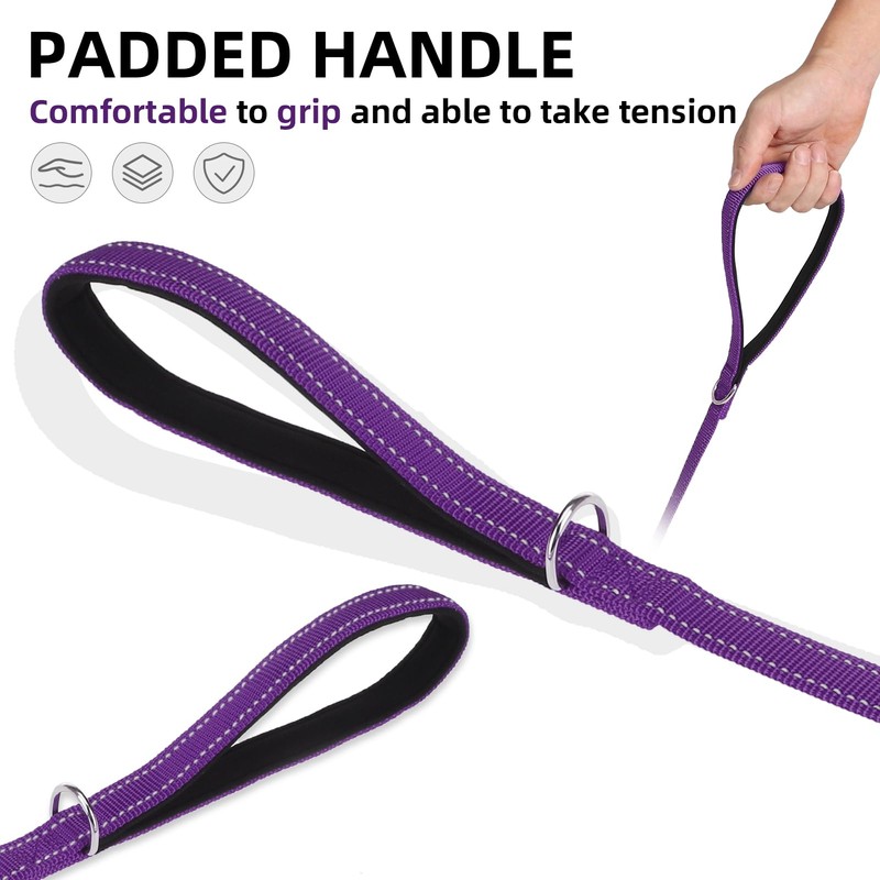 PUPTECK Reflective Dog Leash with Comfortable Padded Handle Durable Nylon