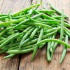 Organic Bush Blue Lake 274 Bean - 1 LB ~1,200