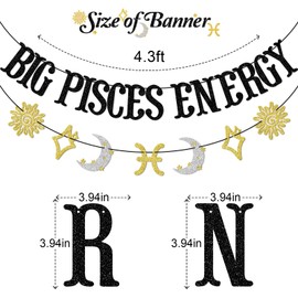 Big Piscis Energy Banner, decoraciones de cumpleaños de Piscis, decoración de la temporada de Piscis, signo del zodiaco Febrero Marzo Banner, decoración de cumpleaños de constelación, suministros de
