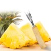 STOBAZA 7pcs Pineapple v Cutter Pineapple Fork Pineapple Paring Cutter
