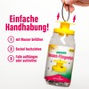 inseko Mass Fly Trap, Fly Trap with Attractant for All