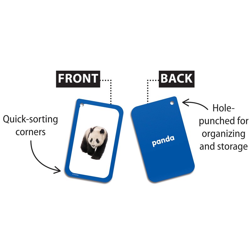 Categories Flash Cards (EP62079)