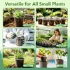Clear Nursery Pots with Drainage 3.5 Inch: 100 Pack See