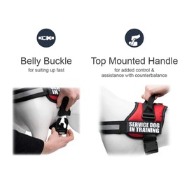 Industrial Puppy Service Dog In Training Vest With Hook and Loop Straps and Handle - Harnesses In Sizes From XXS to XXL - Service Dog Vest Harness Features Reflective Patch and Comfortable Mesh Design