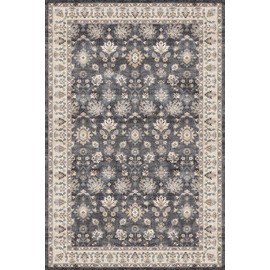 Indoor Washable Door Mat, Small Area Rug for Kitchen, Soft Non-Slip Low Pile, Front Door Throw Rug for Entrance, Bedroom, Kitchen, Laundry, Bathroom (Charcoal Grey, 24“x36”)
