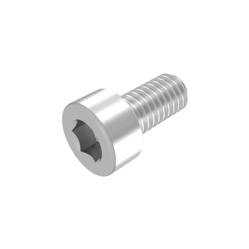 SECCARO 20 x M10 x 20mm V2A VA A2 Stainless