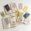 Green Flash STUDY HOLIC Clear Bookmark Evolution Biology ST-374