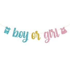 Boy or Girl Banner, Baby Shower Gender Reveal Pregnancy Announcement Hanging Decorations, Welcome Baby Party Decorations Supplies