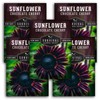 Chocolate Cherry Sunflower Seeds - Size: 5 Packets