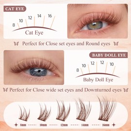 wtvane Wispy Lash Clusters Brown Eyelash Clusters Natural 8-16mm Lashes Cluster Eyelash Extensions C-Curly Thin Band Individual Lashes Natural Look DIY Lash Extension at Home by Wtvane