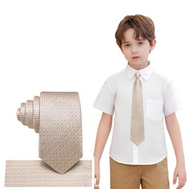 Hi-Tie Champagne Self-Tied Kids Tie for Boy 10-12 Silk Boys Tie 8-10 Year Youth Necktie and Pocket Square Set for Wedding