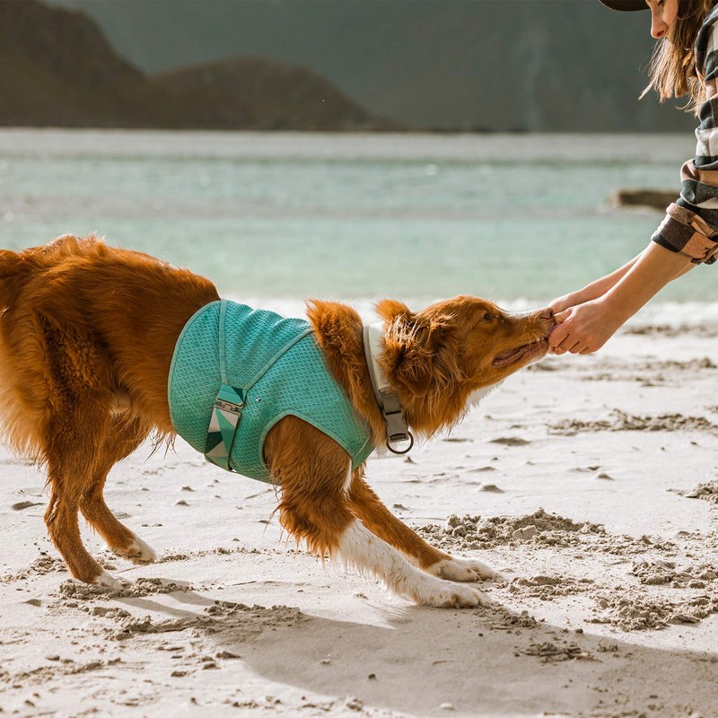 Hurtta Cooling Wrap Cooling Vest for Dogs, Summer Cooling Vest,