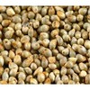 BSD Organics HealthY Pearl Millet / Kambu - 100 g
