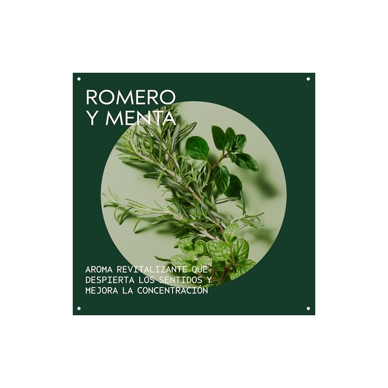 Aveda Rosemary Mint Purifying Shampoo | Exfoliante Limpiador