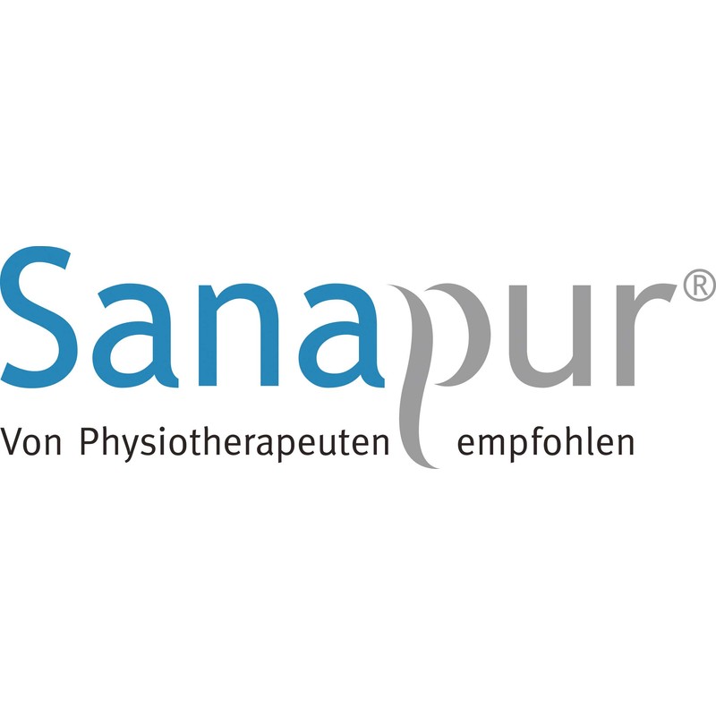 Sanapur Pillow Case Grey 100% Cotton Exclusive Original Pillow Bed