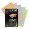 SIGNZ Copier Paper, DIN A4, Coloured (35 x 5 Pastel
