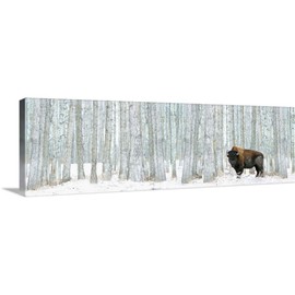 CANVAS ON DEMAND Bison Standing in Snow Among Poplar Trees in Elk Island National Park Alberta, Canada Canvas Wall Art Print by Richard Wear, Home Decor, Wildlife, Animals Artwork, 60"x20"