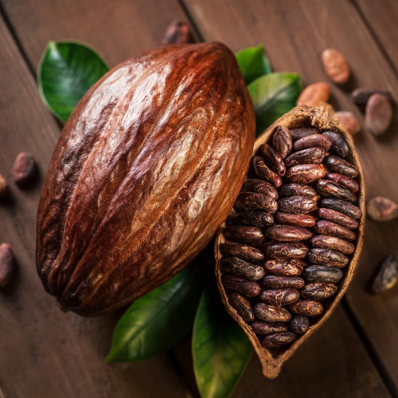 GranAroma Dutch Cocoa Powder, 7.6 oz, Baking Cocoa, Hot Chocolate,