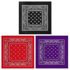 Namvo 3 Pieces Paisley Bandanas Head Scarf Bandana for Men and Women Multifunctional Headband Cowboy Neck Gaiters Head Wrap Handkerchief Hair Accessories