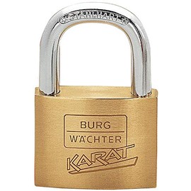 Burg Wächter 21750 Cylinder Padlock Brass 28 x 27.5 mm Diameter 8 mm