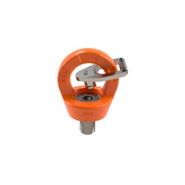 Dolezych Professional Eye Bolt with Eye DLR Load Capacity 1500kg M16 x 24mm Thread