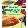 What Freshwater Fish?: A Buyer's Guide to Tropical Aquarium Fish