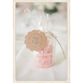 100 MACARON Bags 4W"x2D"x8H" for Gifts and Favors Macaroon
