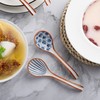 Ceramic Soup Spoons Set of 4 Porcelain Japanese Soup Spoon