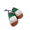 Hanging Car Mirror Mini Boxing Gloves (Ireland)