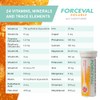 Effervescent Multivitamin Tablets, Pack of 30