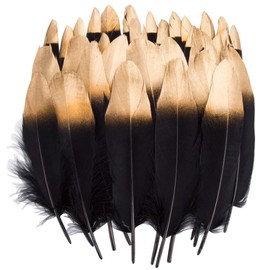Vidillo Colourful Feathers, Pack of 40 Gold/Silver, Dipped, Natural, Red/Black