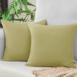 Vielit Sofa Cushion Cover 40 x 40 cm Spring Green Soft Pillowcase 40 x 40 cm Set of 2 Microfibre Cushion Covers 40 x 40 cm Cushion Cover for Cushion 40 x 40 cm Eco Certificate Resistant Hypoallergenic