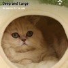 Cat Bed Ultra-Soft Plush Material 2-in-1 Use Cat Beds for