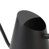 Watering Can with Long Spout 800ml Stainless Steel Matte Indoor