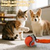 Vrurc Interactive Cat Toy Ball-Speedy with Feather & 3 Tails,Motion