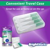 BrightWorks Mint Dental Picks, with Extra Soft Rubber Bristles and