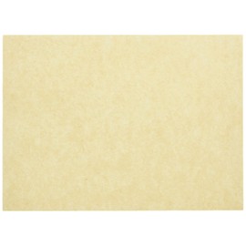 Nagao 6160 Placemats, Unexposed, 7.5 x 10.2 inches (19 x 26 cm), Set of 100, Made in Japan