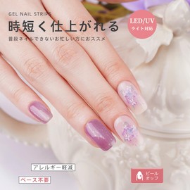 DANNI & TONI Gel Nail Sticker, Hydrangea, Thin Glitter, Gel Nail Seal, Curing Type, Nail Seal, Summer, Gel Nail Design, Stick Gel Nails, Long Lasting, Odorless, Waterproof, SGS Certified, Easy for