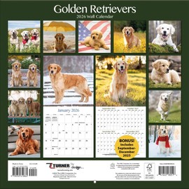 TURNER PHOTOGRAPHIC Golden Retrievers 12x12 Photo Wall Calendar (26998940022)