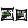 Lawn Mowing Haulin' Grass during Lawn Care Haulin' Grass Mower