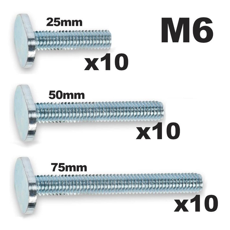 Set of 30 T-bolts, set of T-bolts, M6 thread: 10