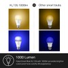 Kasa Smart Light Bulbs, 1000 Lumens High Brightness, 16M Color