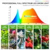 4-Head Table Top Grow Lights for Indoor Plants, Seed Starting,