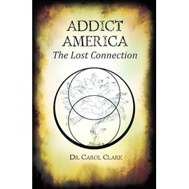 Addict America: The Lost Connection