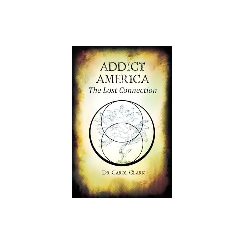 Addict America: The Lost Connection